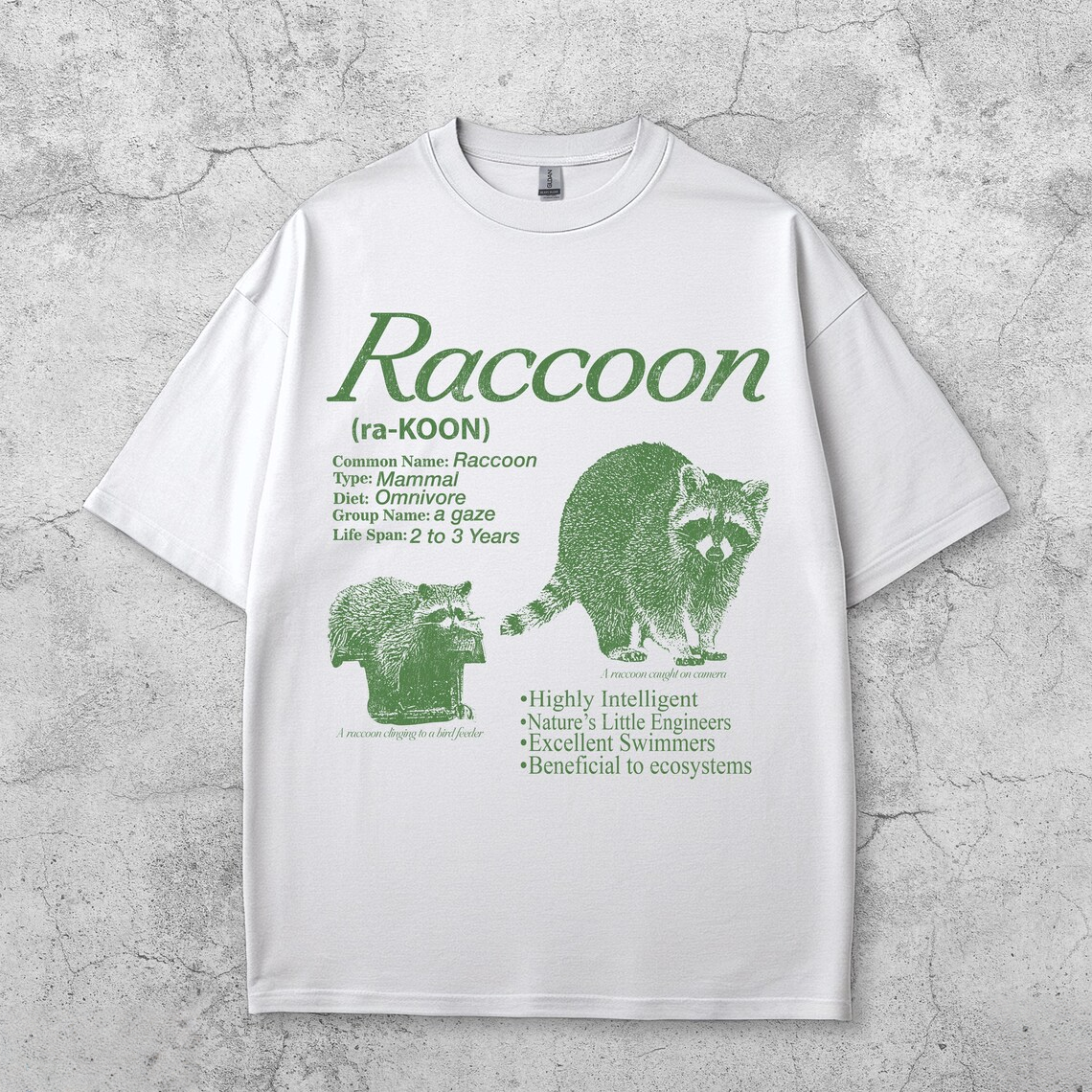 Vintage Raccoon Infographic T-Shirt