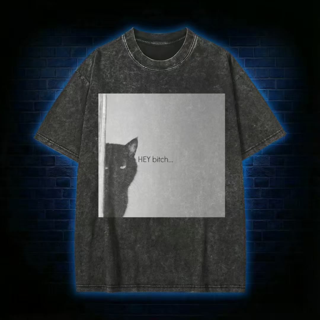 "HEY Bitch..." Peeking Black Cat Meme Washed T-Shirt