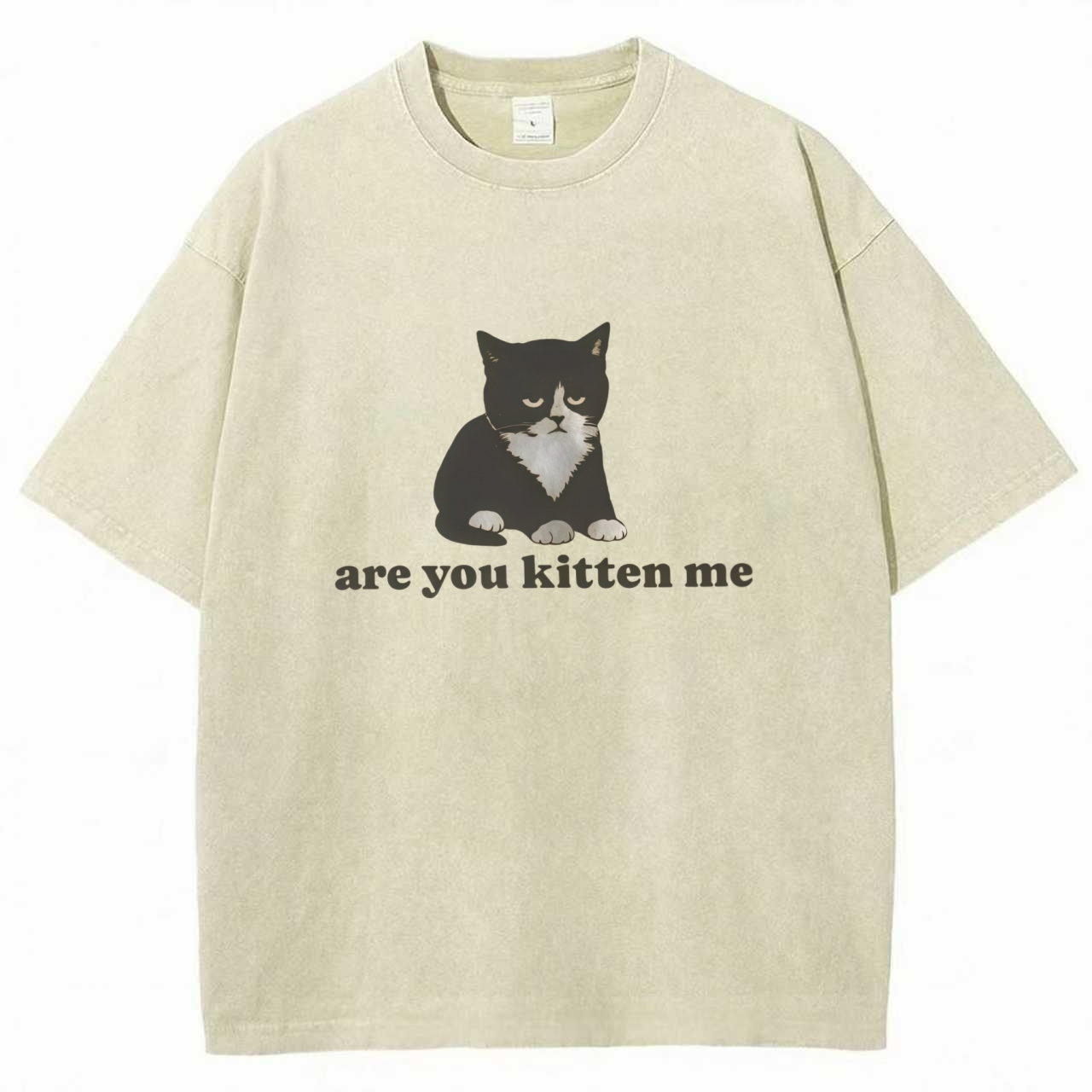 Funny Cat Meme T-shirt
