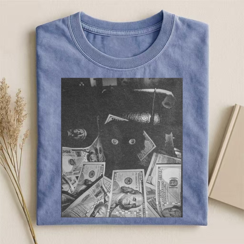 Money Cat Aesthetic T-shirt