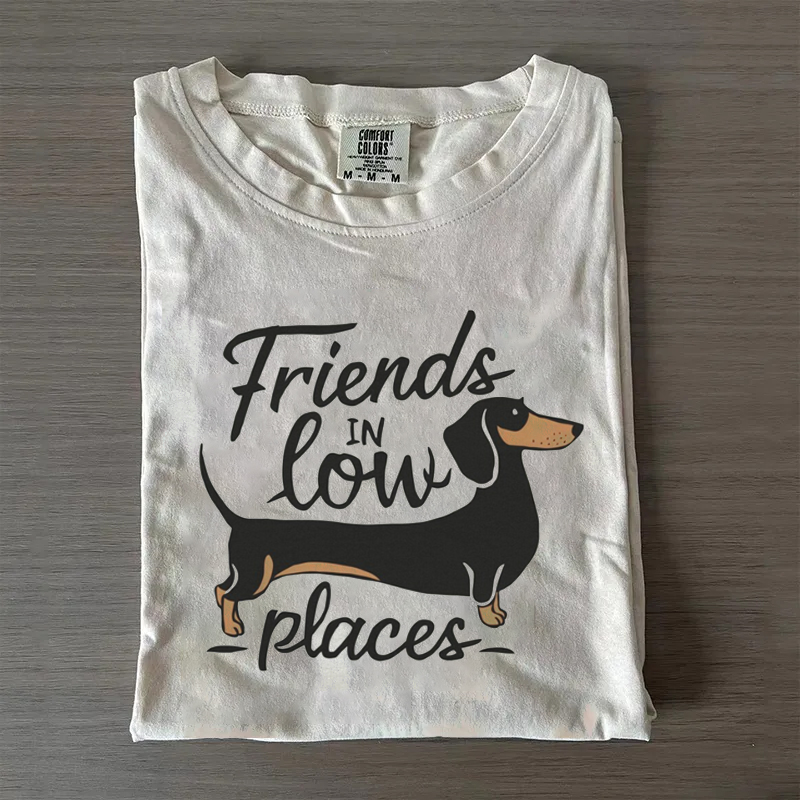Friends In Low Places T-shirt