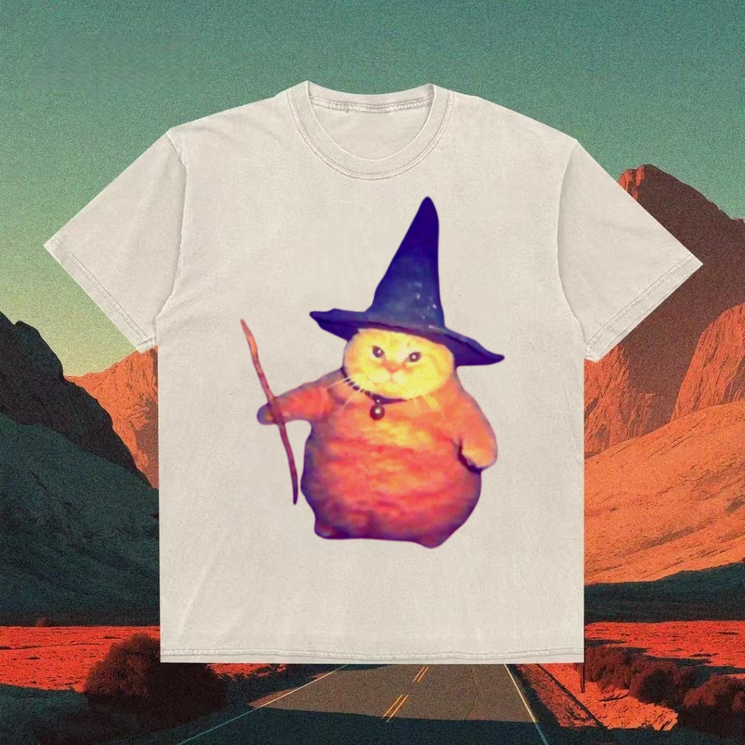 Chonky Orange Cat Wizard Meme T-shirt