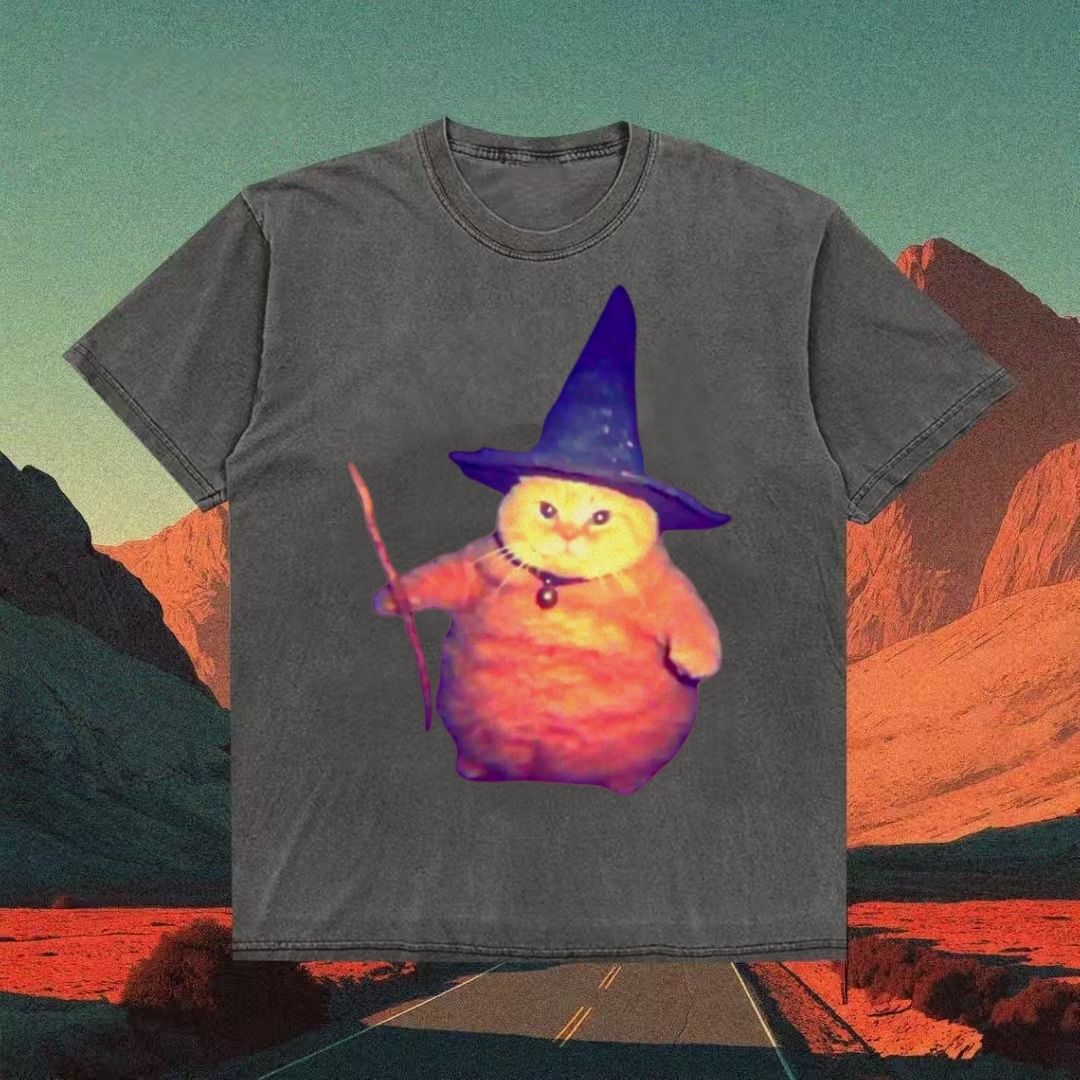 Chonky Orange Cat Wizard Meme T-shirt