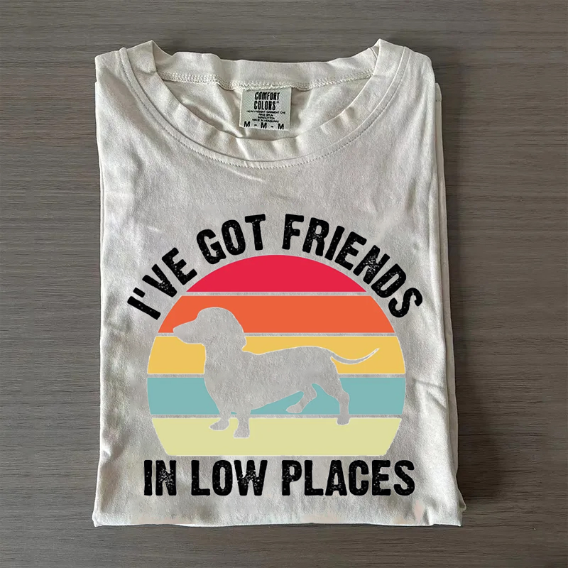 I've Got Friends In Low Places T-shirt