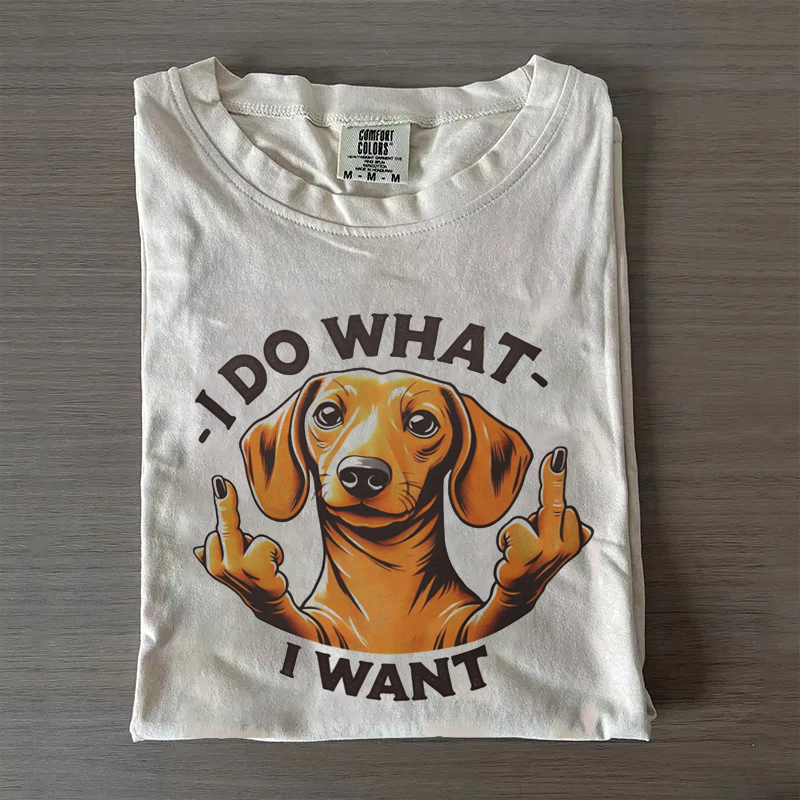 I Do What I Want T-shirt