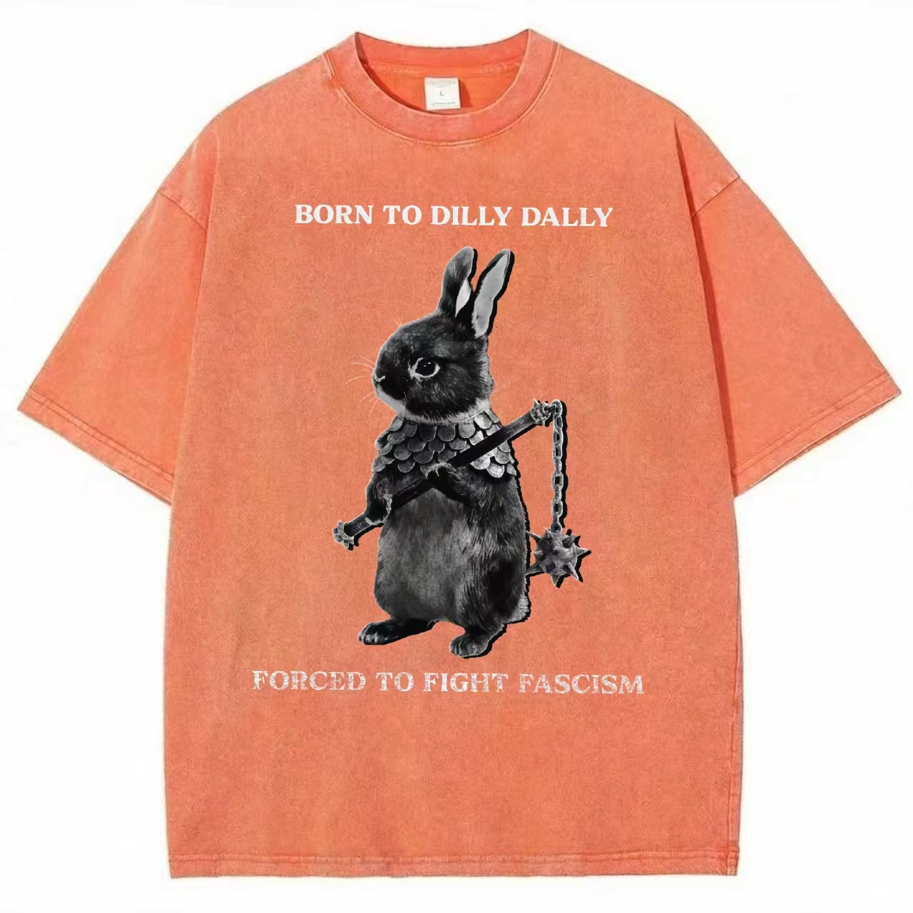 "Born to Dilly Dally" Rabbit Anti-Fascist Washed T-Shirt