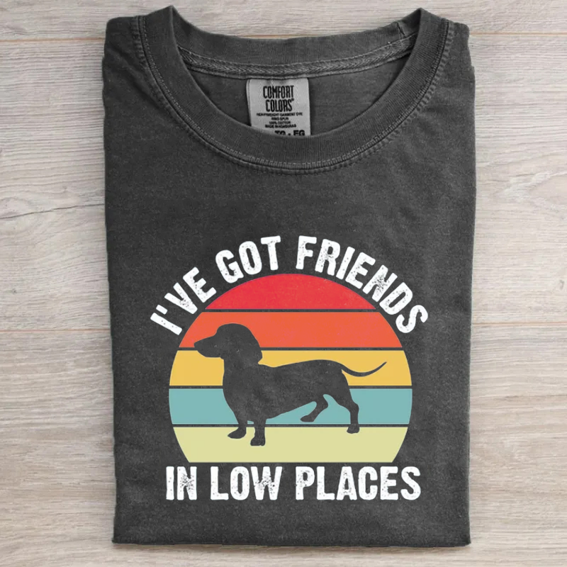 I've Got Friends In Low Places T-shirt
