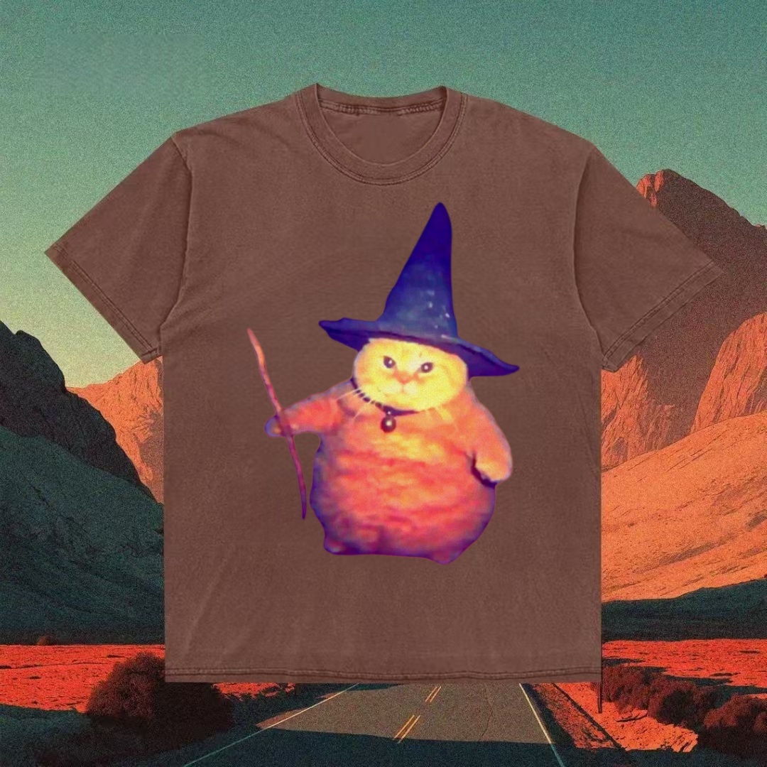 Chonky Orange Cat Wizard Meme T-shirt