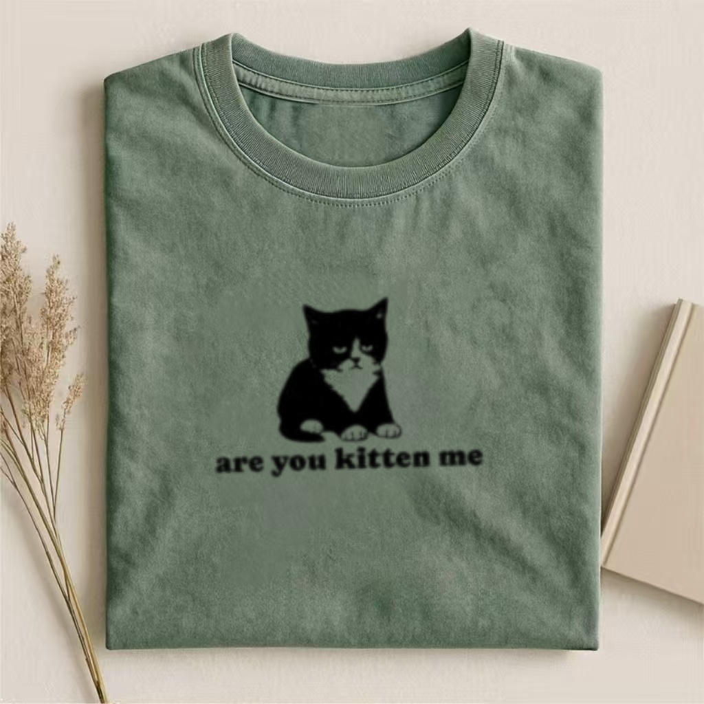 "Are You Kitten Me" Cat Pun Meme T-Shirt