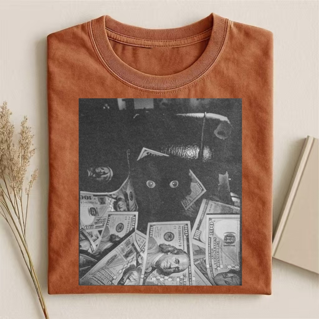 Money Cat Aesthetic T-shirt