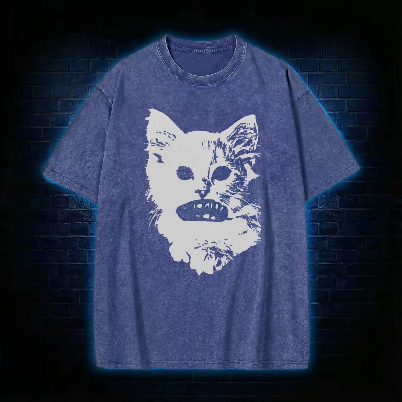 Weirdcore Cat Washed T-shirt