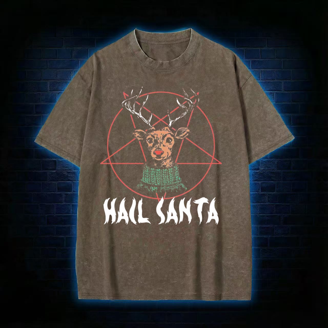 Hail Santa Washed T-shirt