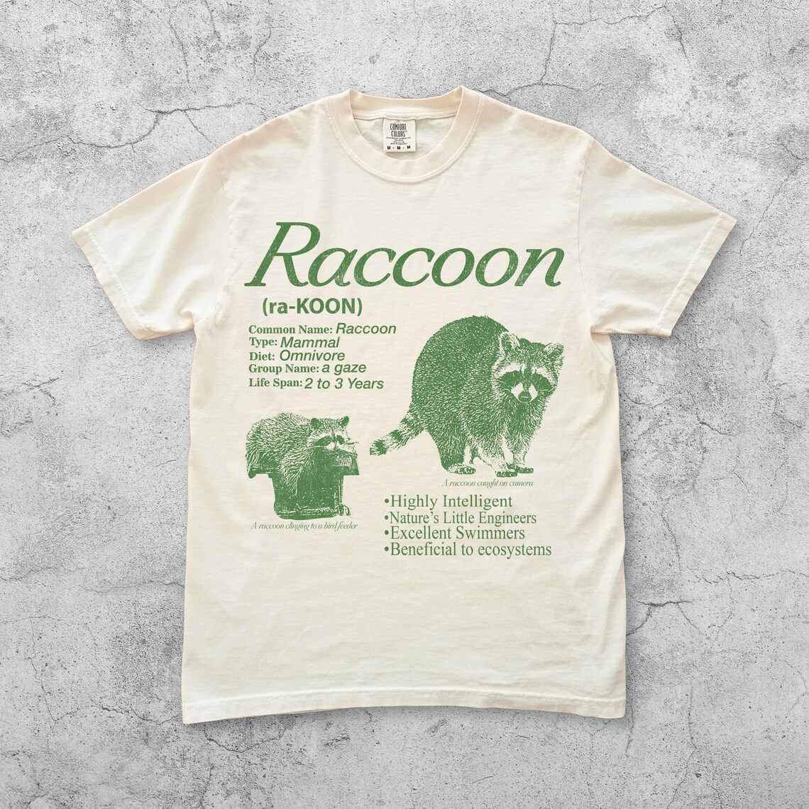 Vintage Raccoon Infographic T-Shirt