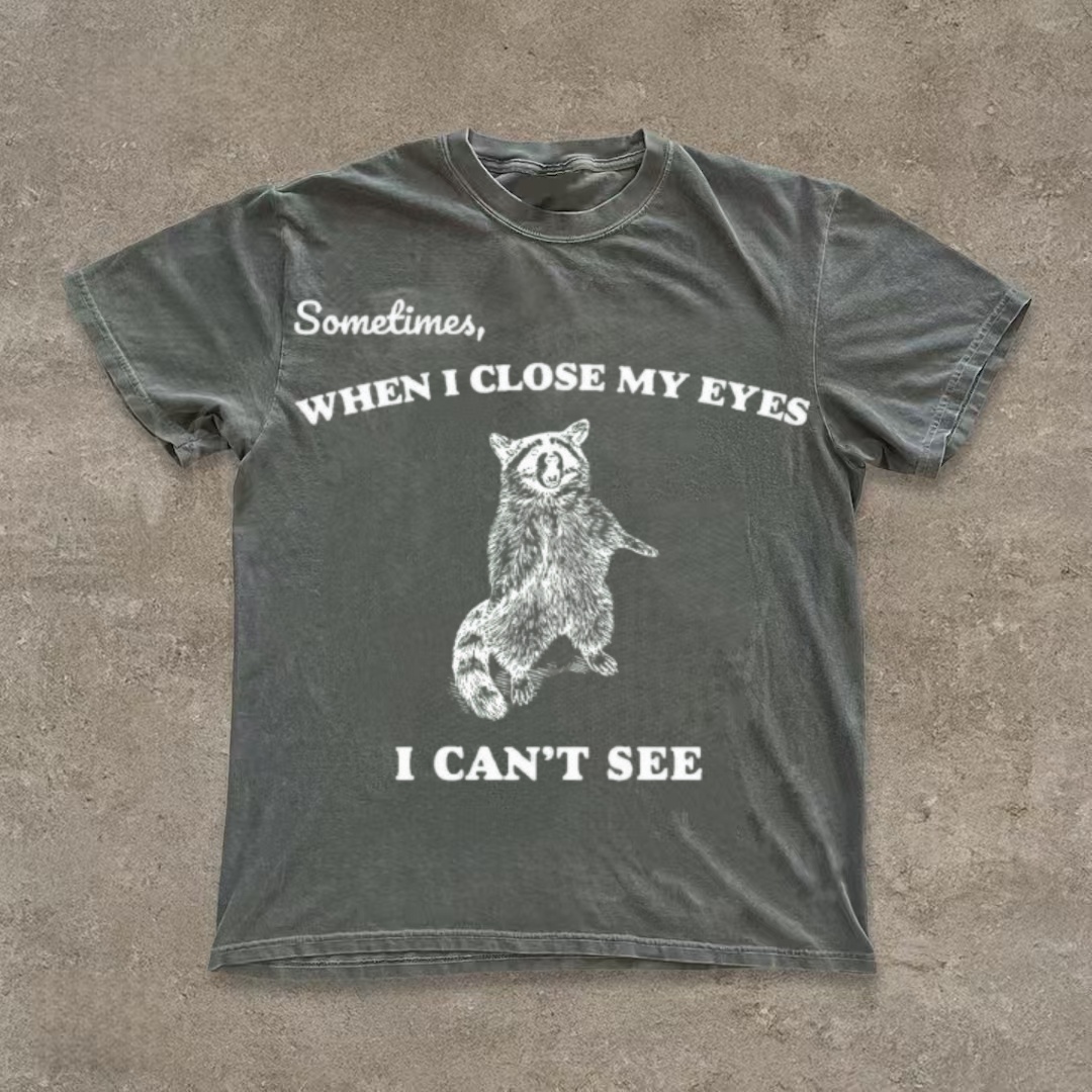 "Sometimes I Close My Eyes I Can't See" Raccoon Meme T-Shirt