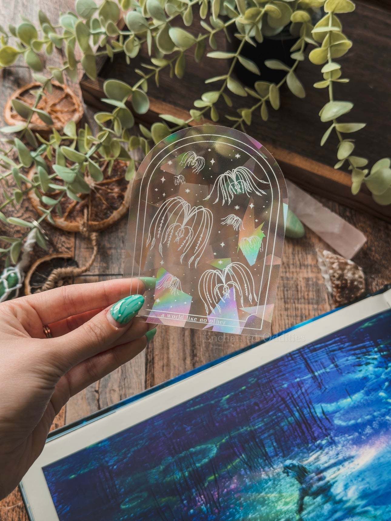 Sacred Seeds Suncatcher Decal