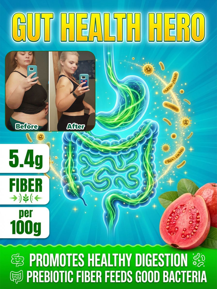 [King of Antioxidants] Guava Saplings (Superfood)💥Grow Your Own “Vitamin C Bombs