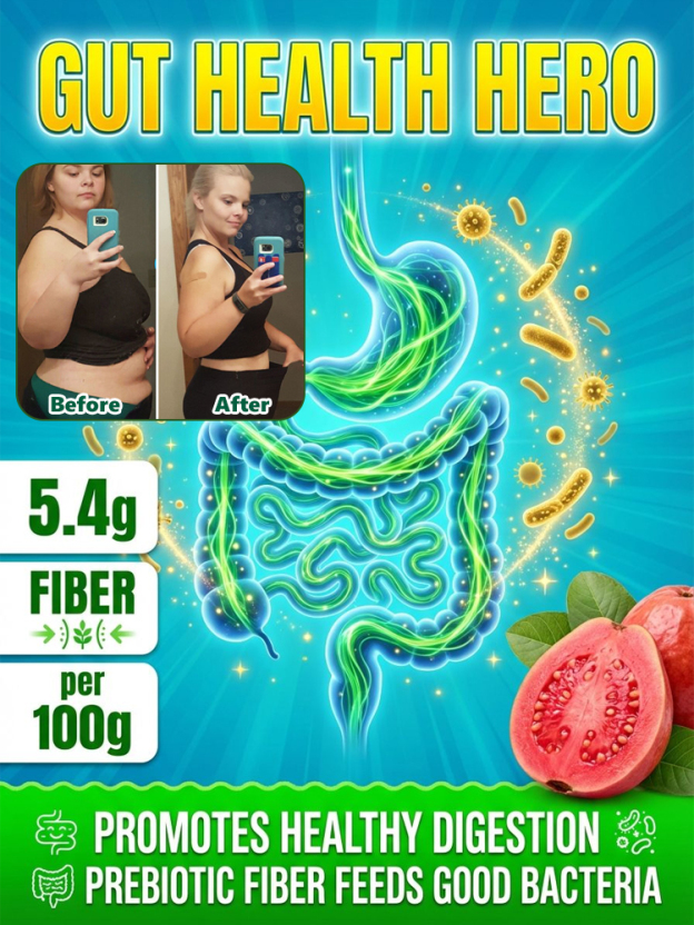 [King of Antioxidants] Guava Saplings (Superfood)💥Grow Your Own “Vitamin C Bombs