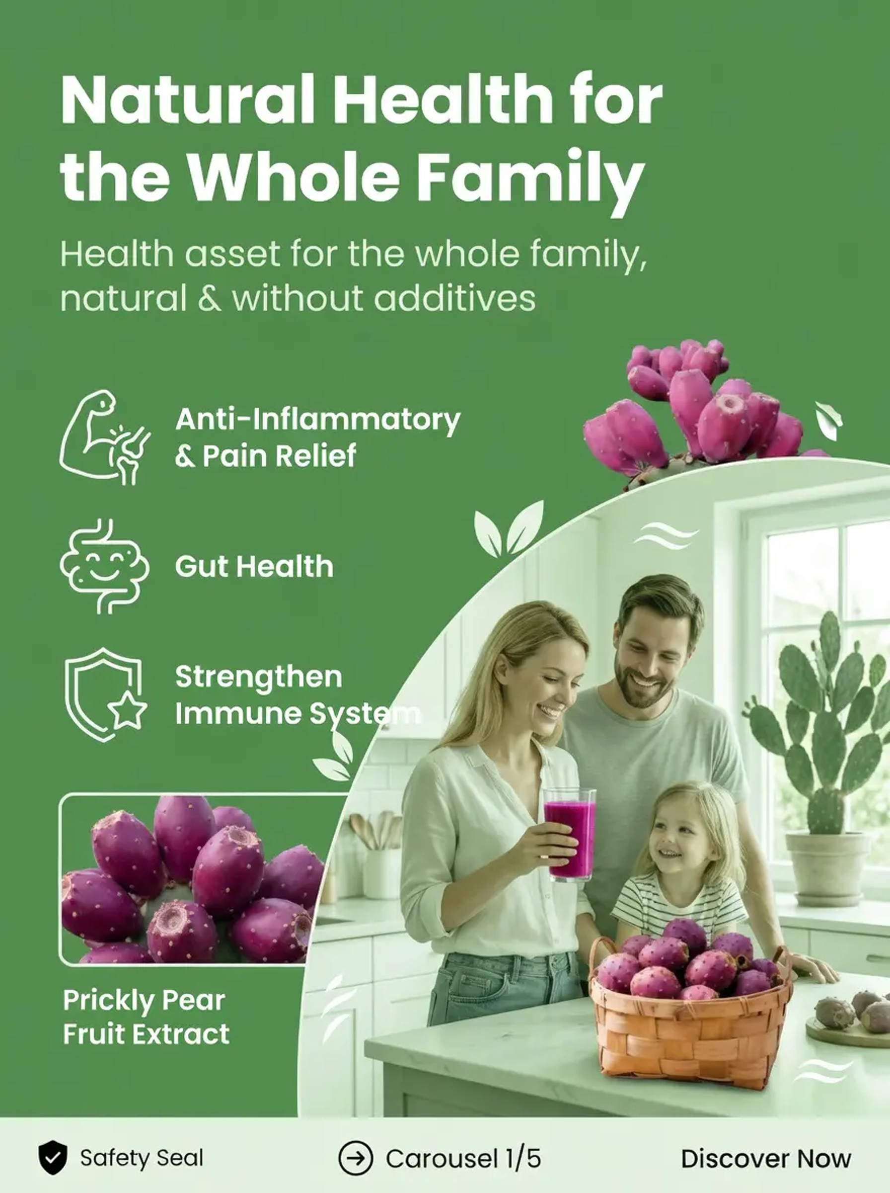 [Can survive 30 days without watering]  Edible cactus seedlings