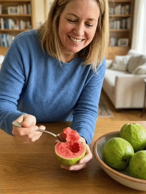 [King of Antioxidants] Guava Saplings (Superfood)💥Grow Your Own “Vitamin C Bombs