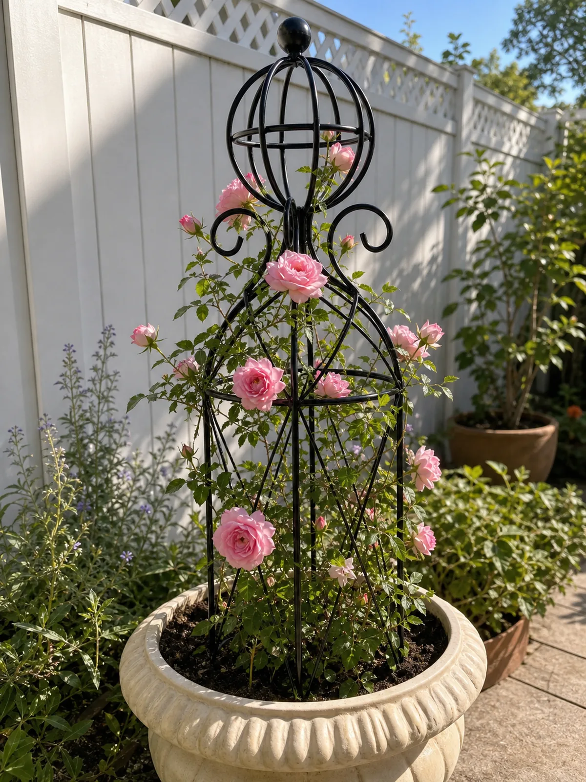 01 rose patio trellis story