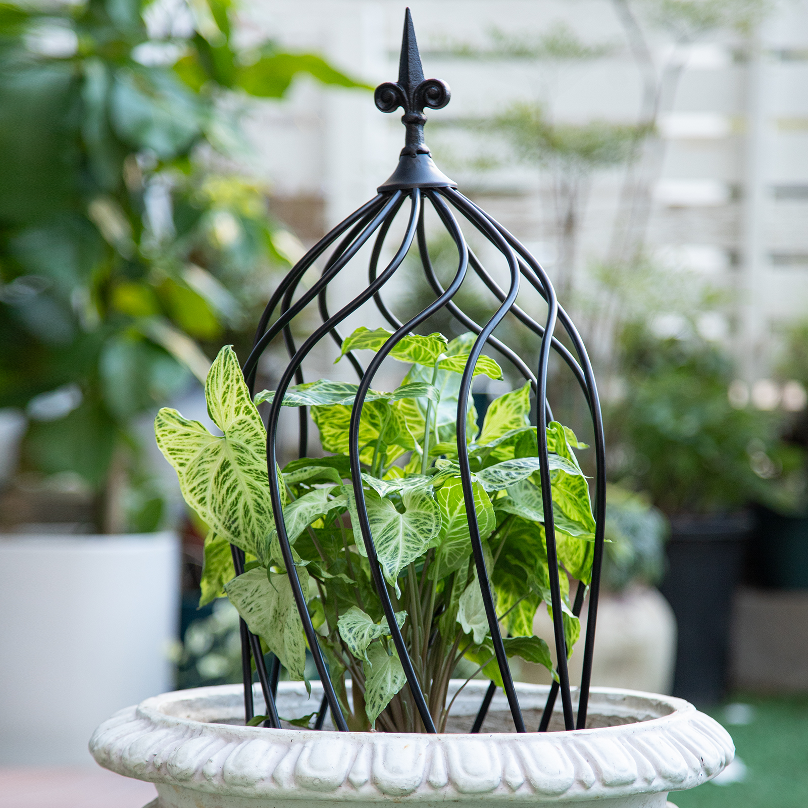 23in Metal Obelisk Trellis for Climbing Plants & Vines