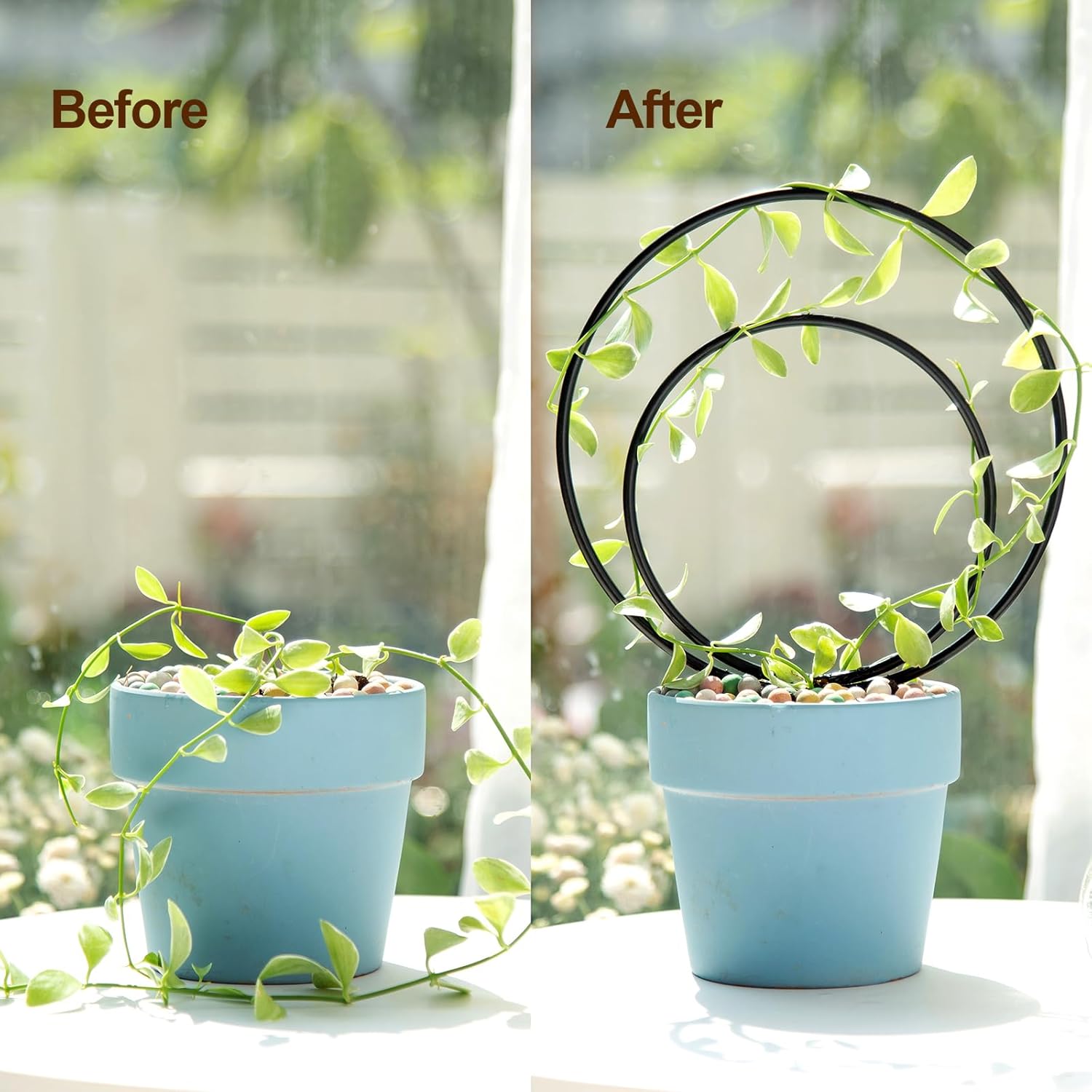 3-Size Round Plant Trellis Set for Climbing Plants-MOUGIGI