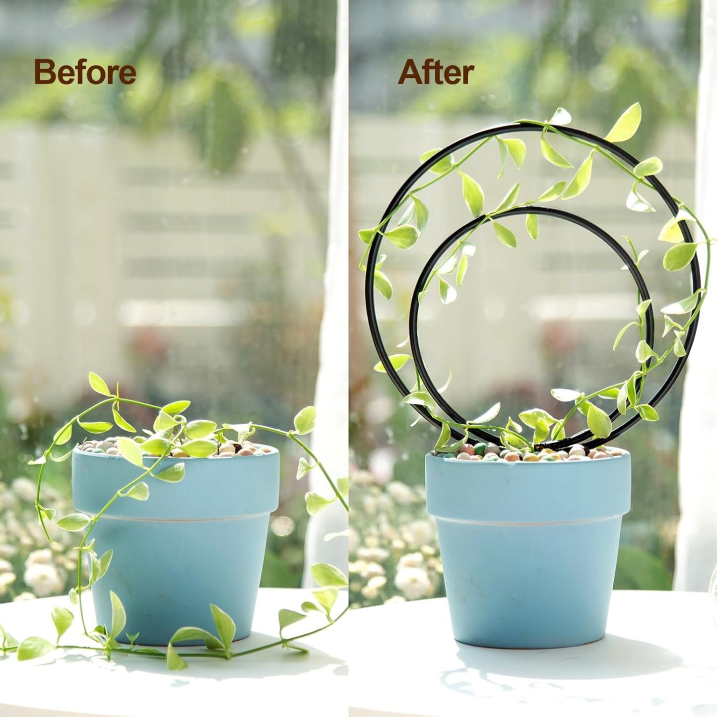 3-Size Round Plant Trellis Set for Climbing Plants-MOUGIGI