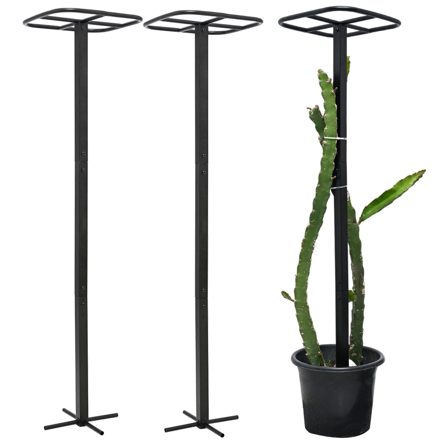 2-Pack Metal Dragon Fruit Trellis - 12x12x50 Inch Garden Support