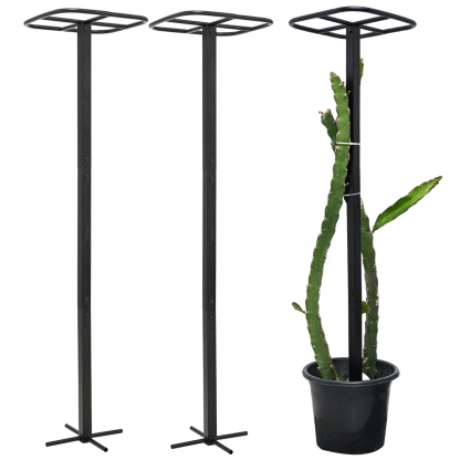 2-Pack Metal Dragon Fruit Trellis - 12x12x50 Inch Garden Support