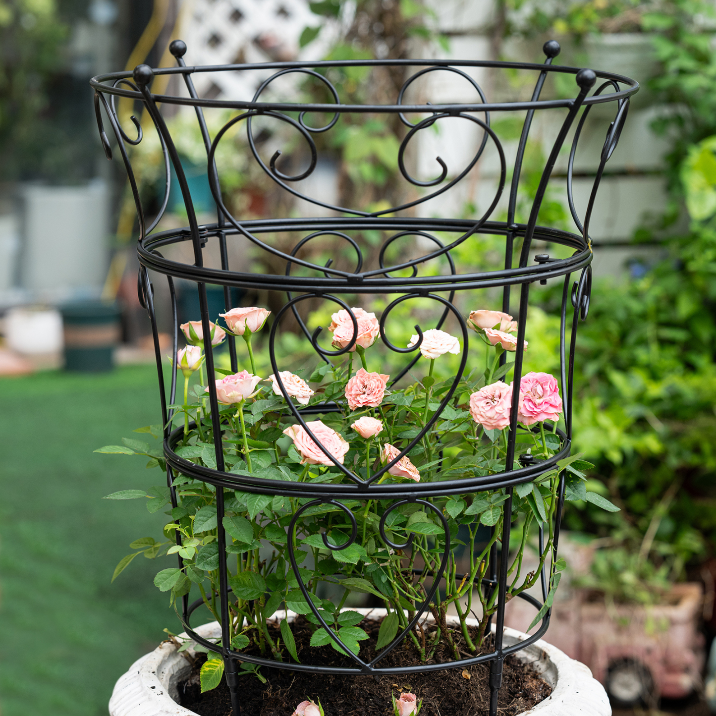 24.6x17in Metal Obelisk Trellis for Peonies & Vines