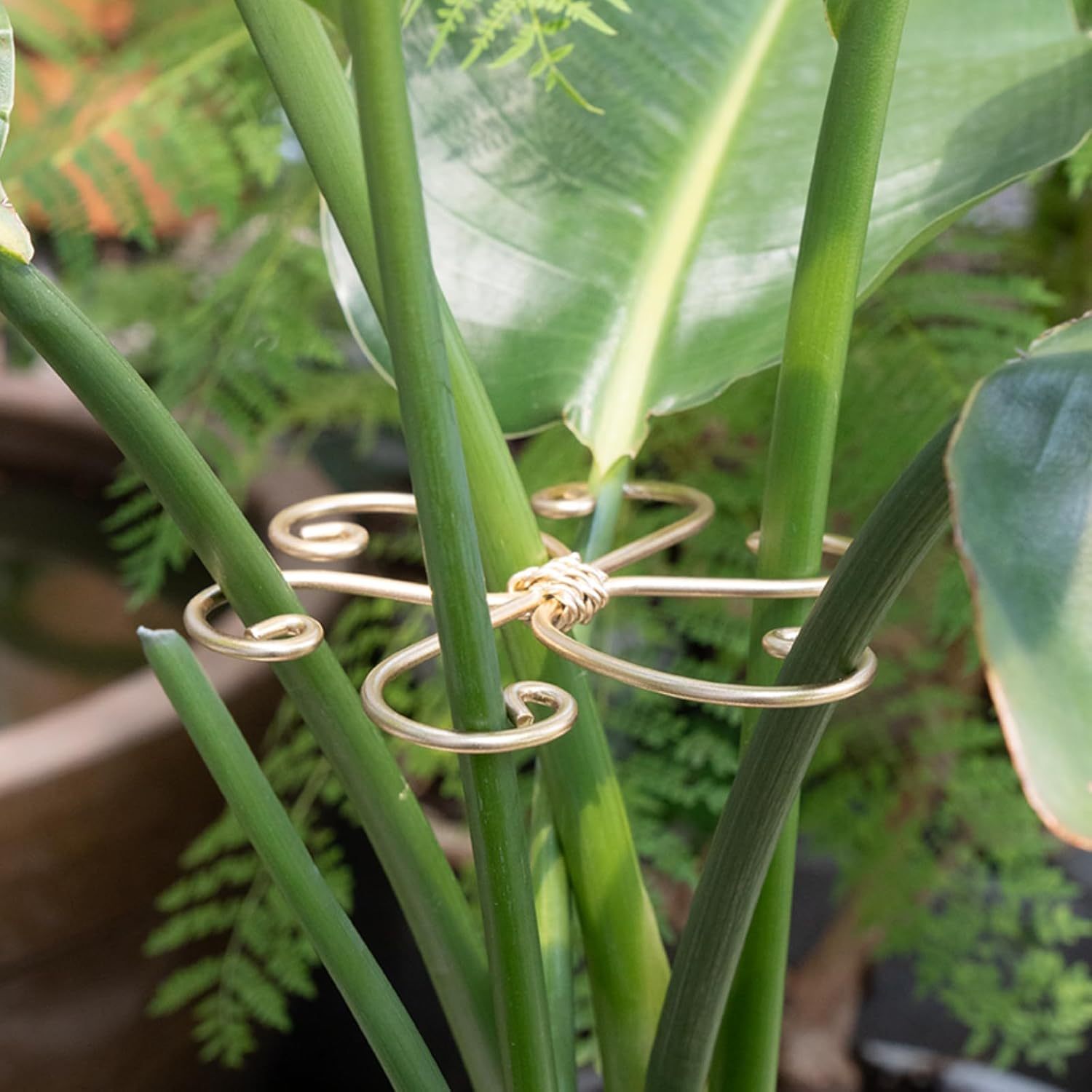 5-Pack Monstera Plant Support Stakes, 4.1IN Clamps-MOUGIGI