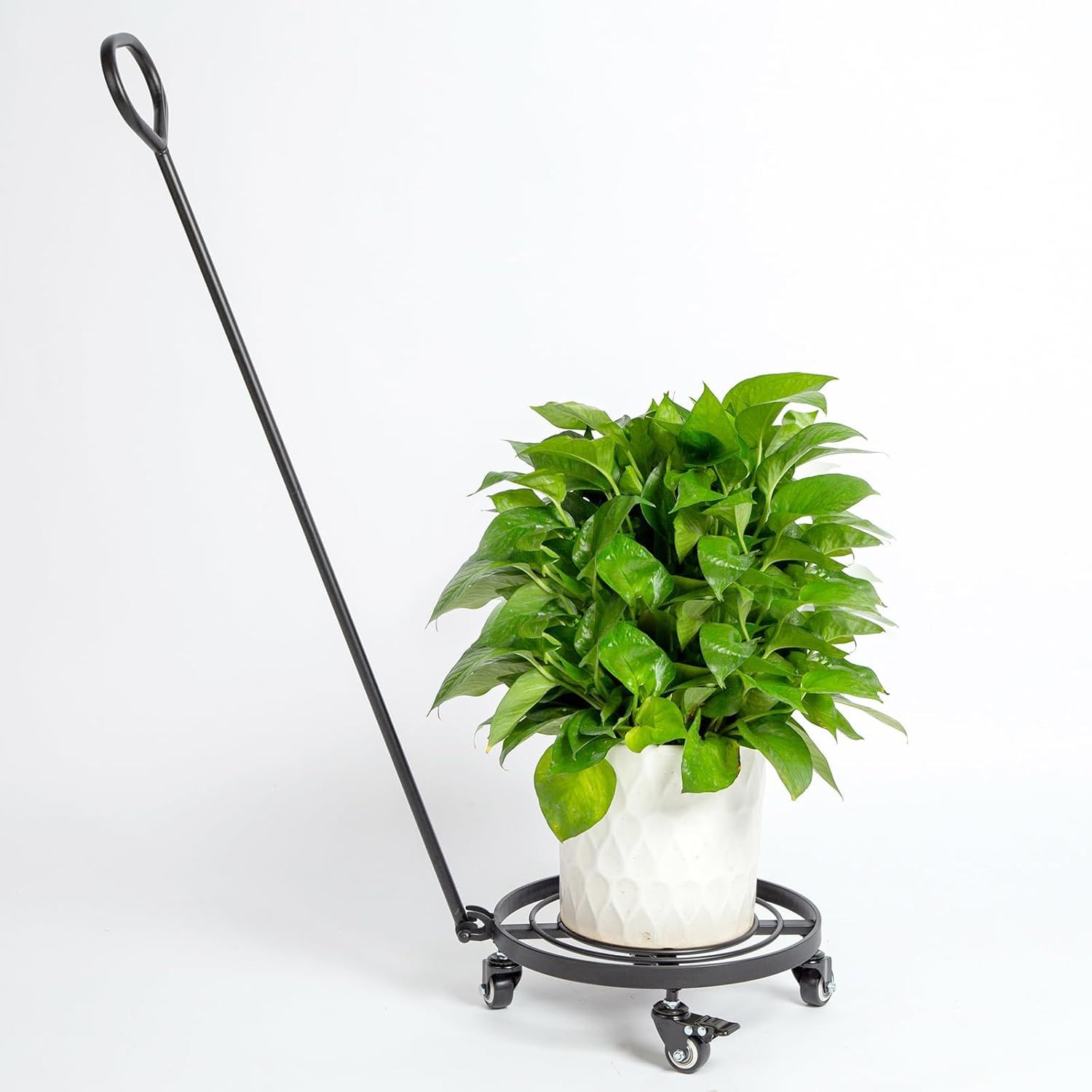Heavy Duty Square Plant Dolly - 200LB Capacity & Removable Handle