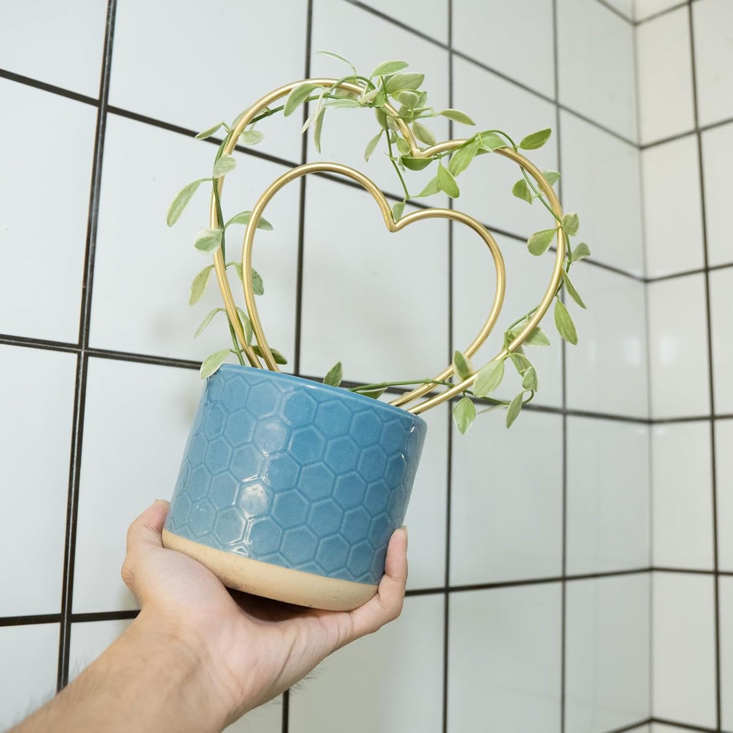 3-Pack Gold Heart Trellis for Climbing Houseplants-MOUGIGI