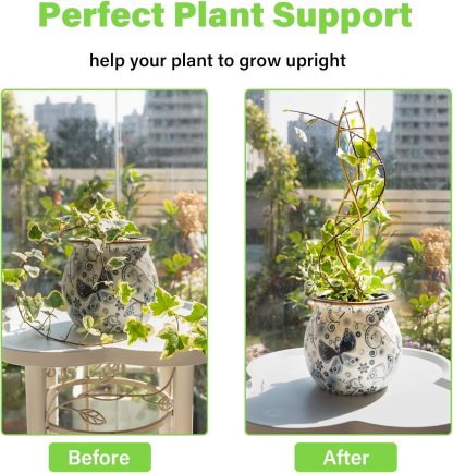 3-Pack DNA Spiral Trellis for Climbing Plants-MOUGIGI