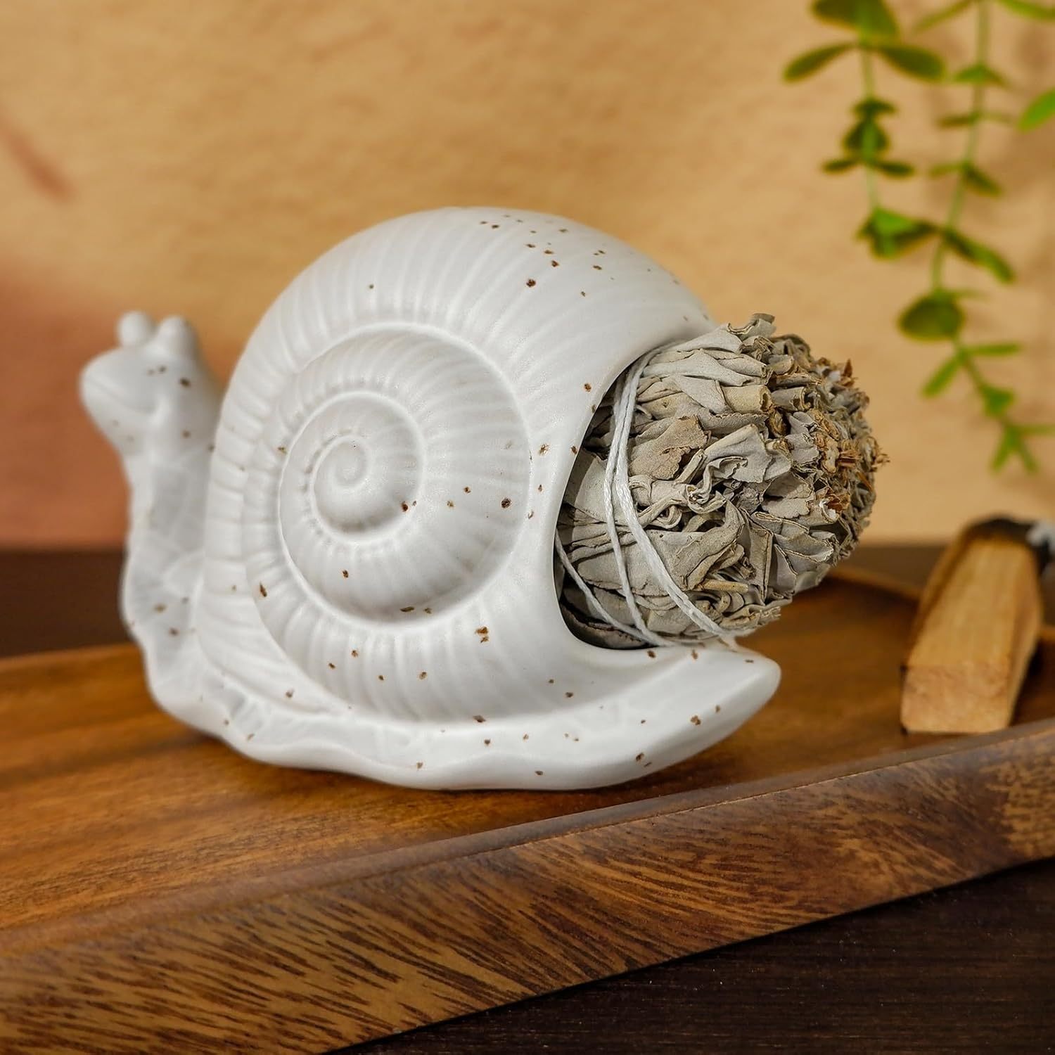 Snail Incense Burner - Palo Santo & Sage Holder-MOUGIGI