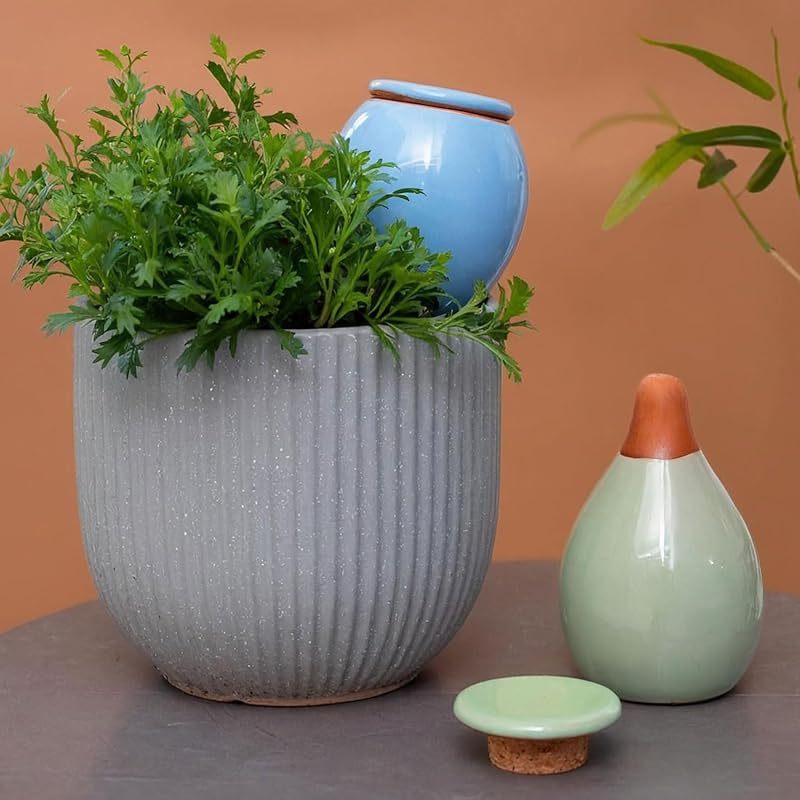 4-Pack Ceramic Self-Watering Spikes - 1-Week Plant Watering-MOUGIGI