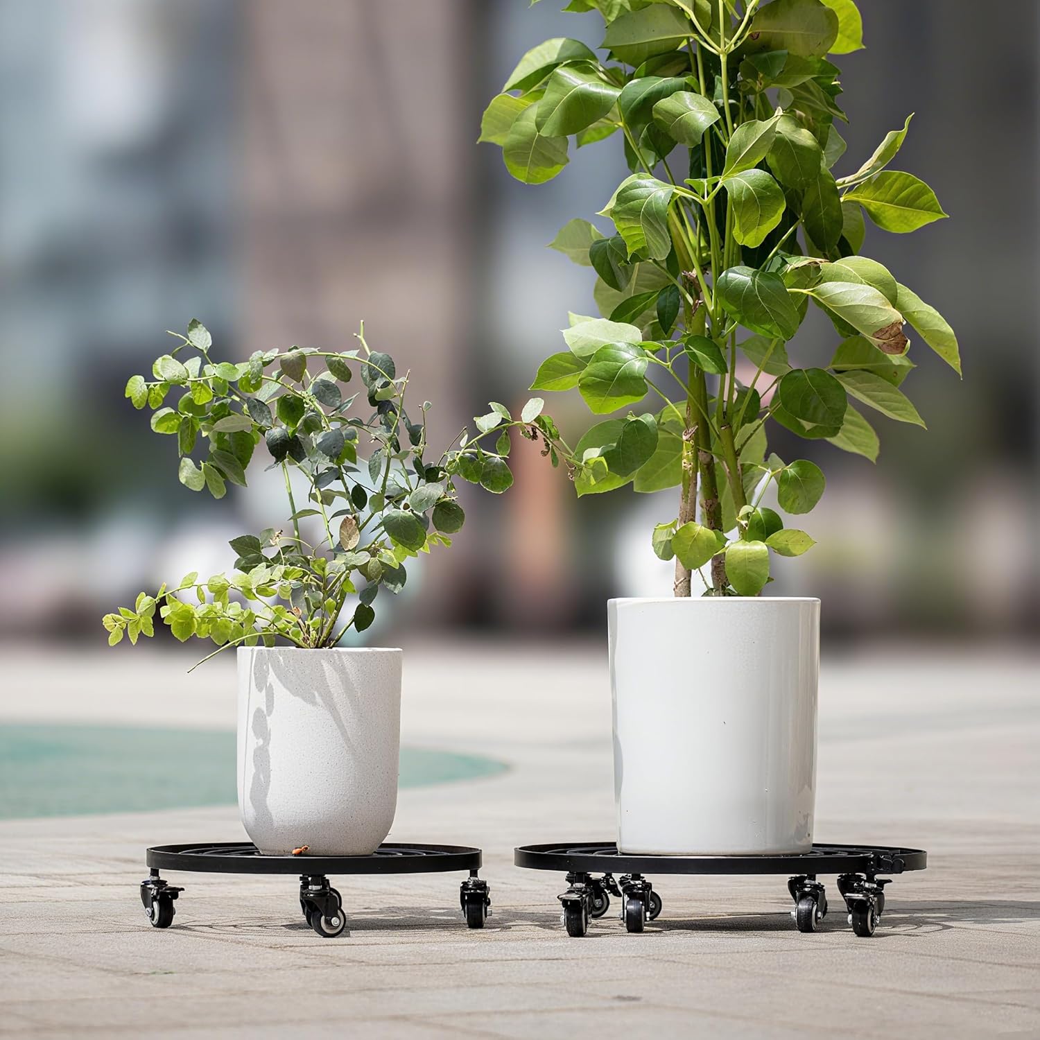 16" Heavy Duty Plant Dolly - 200lb Capacity & Removable Handle-MOUGIGI