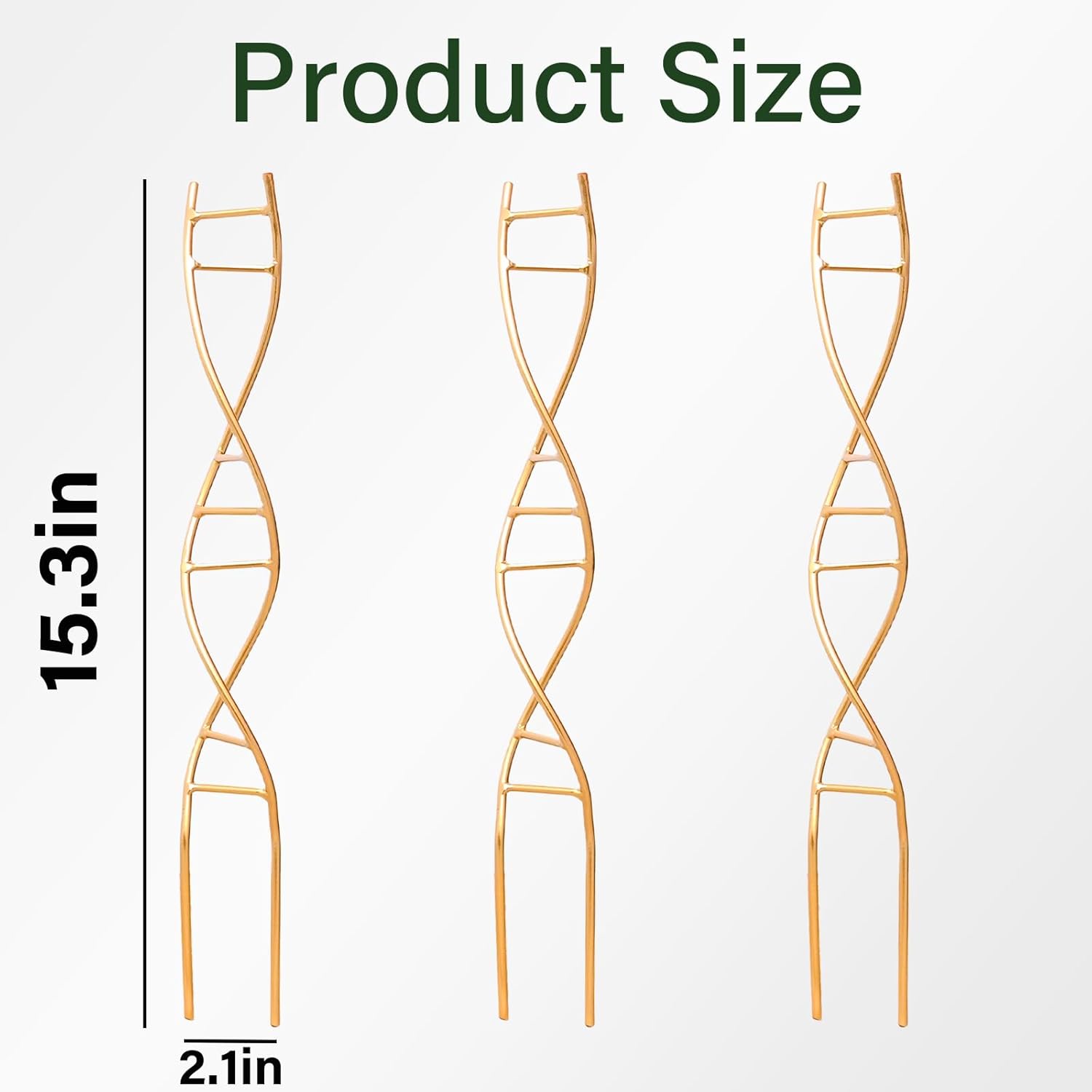 3-Pack DNA Spiral Trellis for Climbing Plants-MOUGIGI