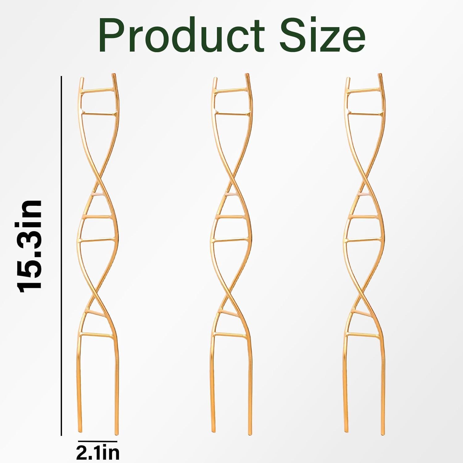 3-Pack DNA Spiral Trellis for Climbing Plants-MOUGIGI