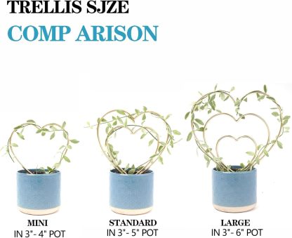 3-Pack Gold Heart Trellis for Climbing Houseplants-MOUGIGI