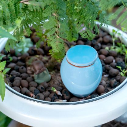 4-Pack Ceramic Self-Watering Spikes - 1-Week Plant Watering-MOUGIGI