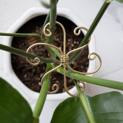 5-Pack Gold Plant Support Clips for Monstera & Vines-MOUGIGI