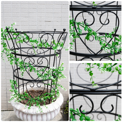 24.6x17in Metal Obelisk Trellis for Peonies & Vines
