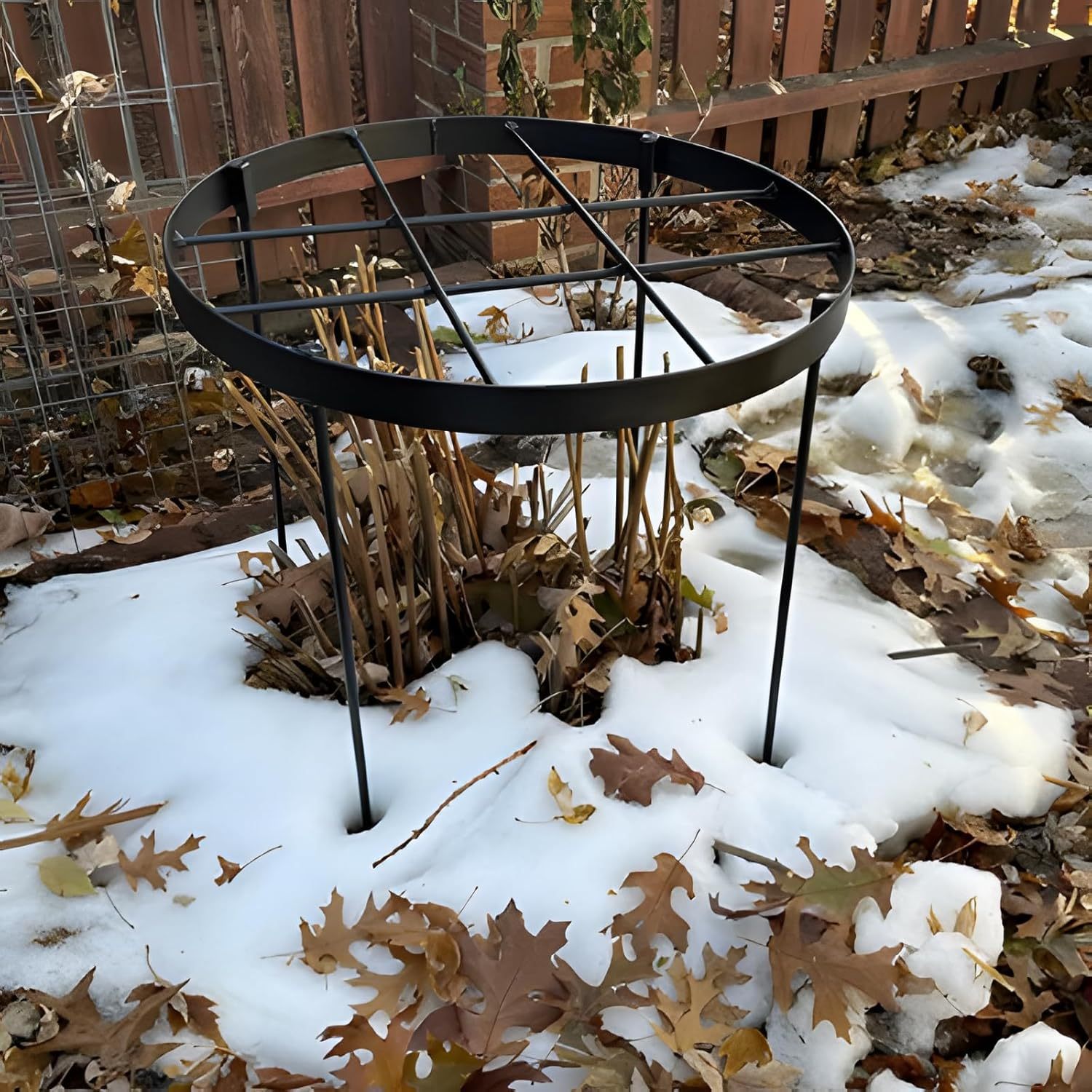 Large Peony Support Cage 18.9x23.6in - Heavy Duty Plant Ring-MOUGIGI