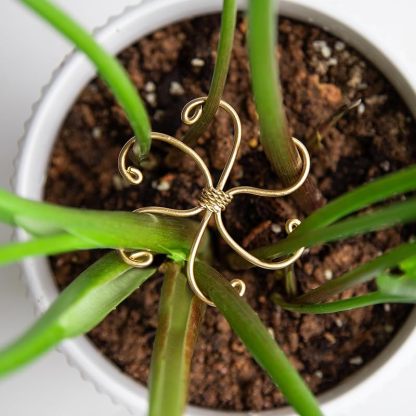 5-Pack Gold Plant Support Clips for Monstera & Vines-MOUGIGI