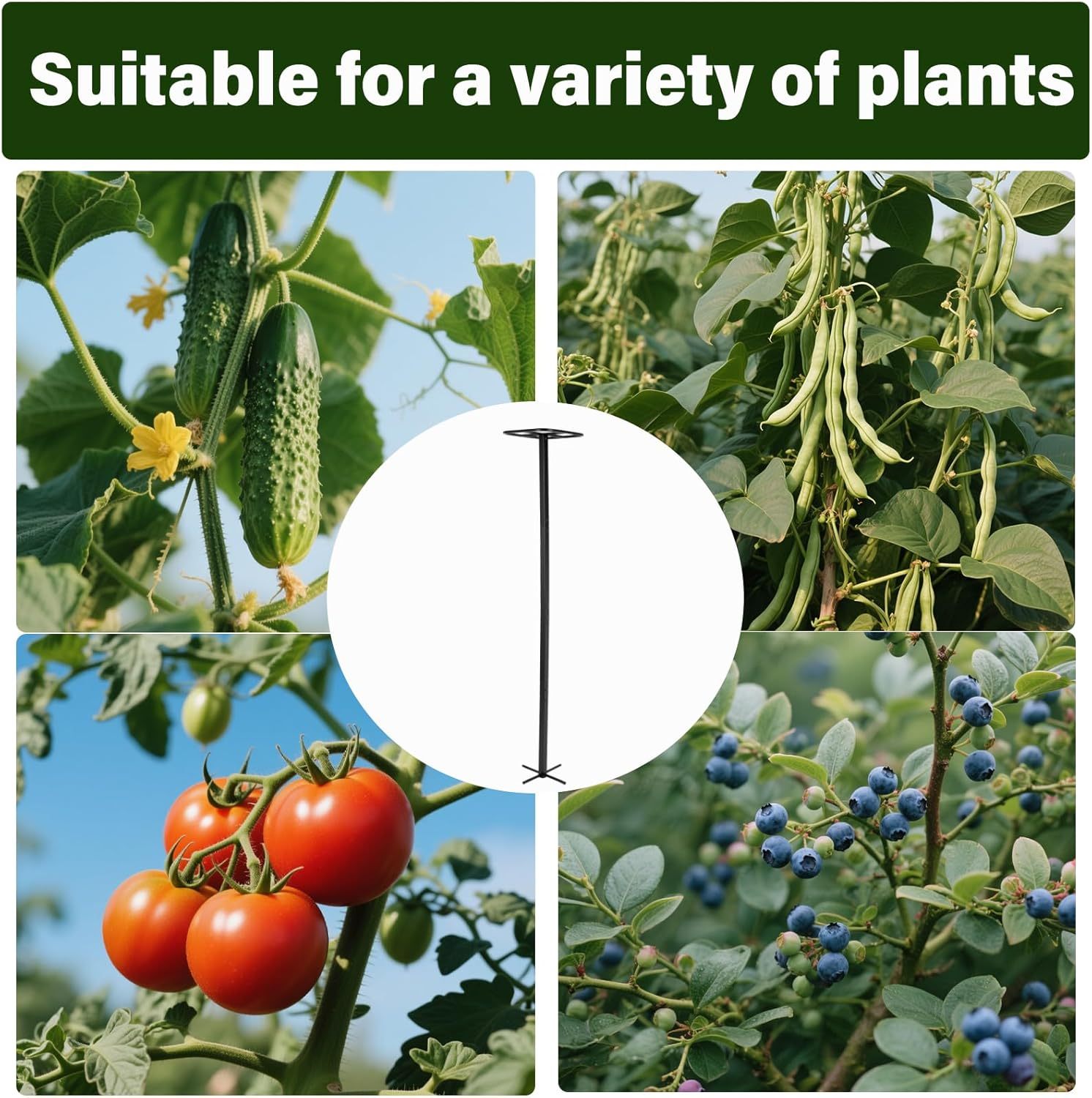 63" Metal Dragon Fruit Trellis - Heavy Duty Garden Support-MOUGIGI