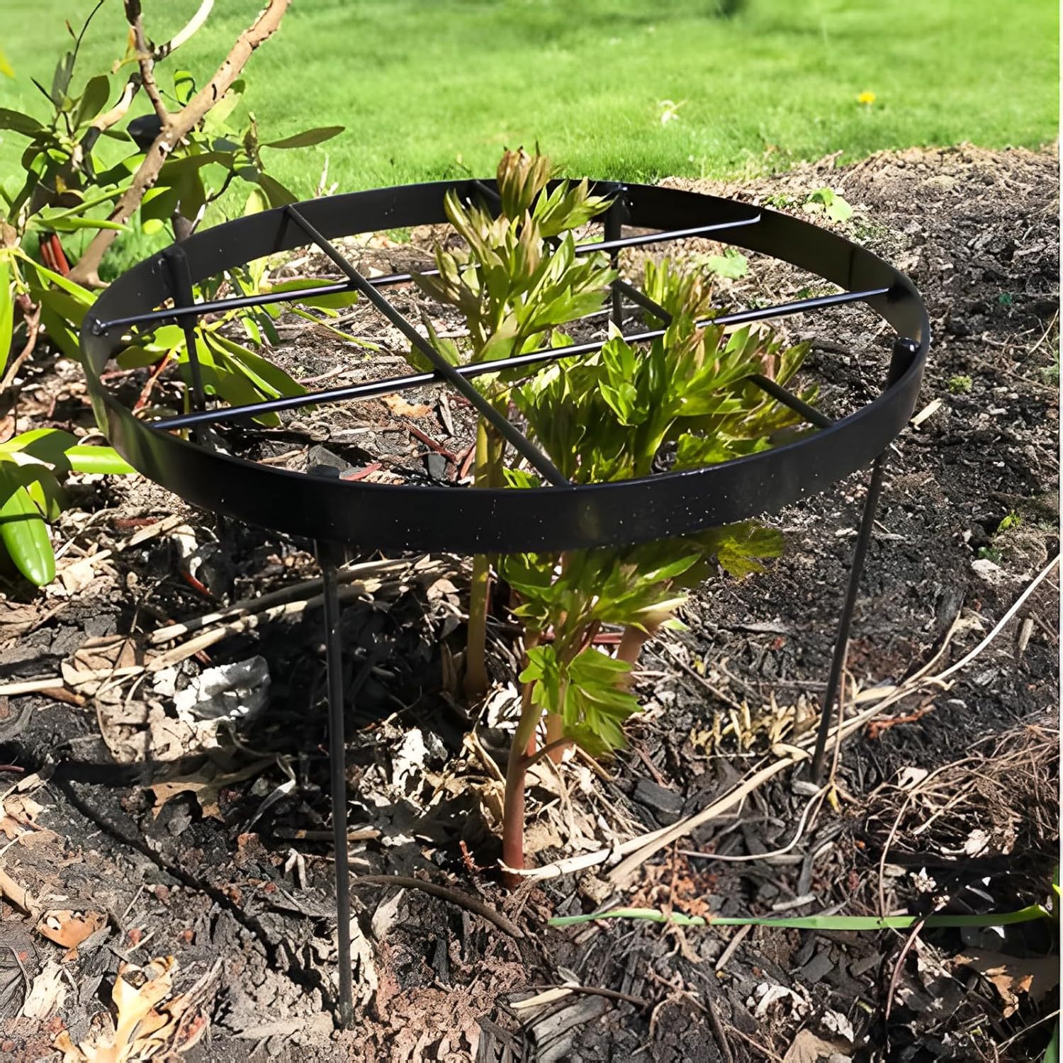 Large Peony Support Cage 18.9x23.6in - Heavy Duty Plant Ring-MOUGIGI