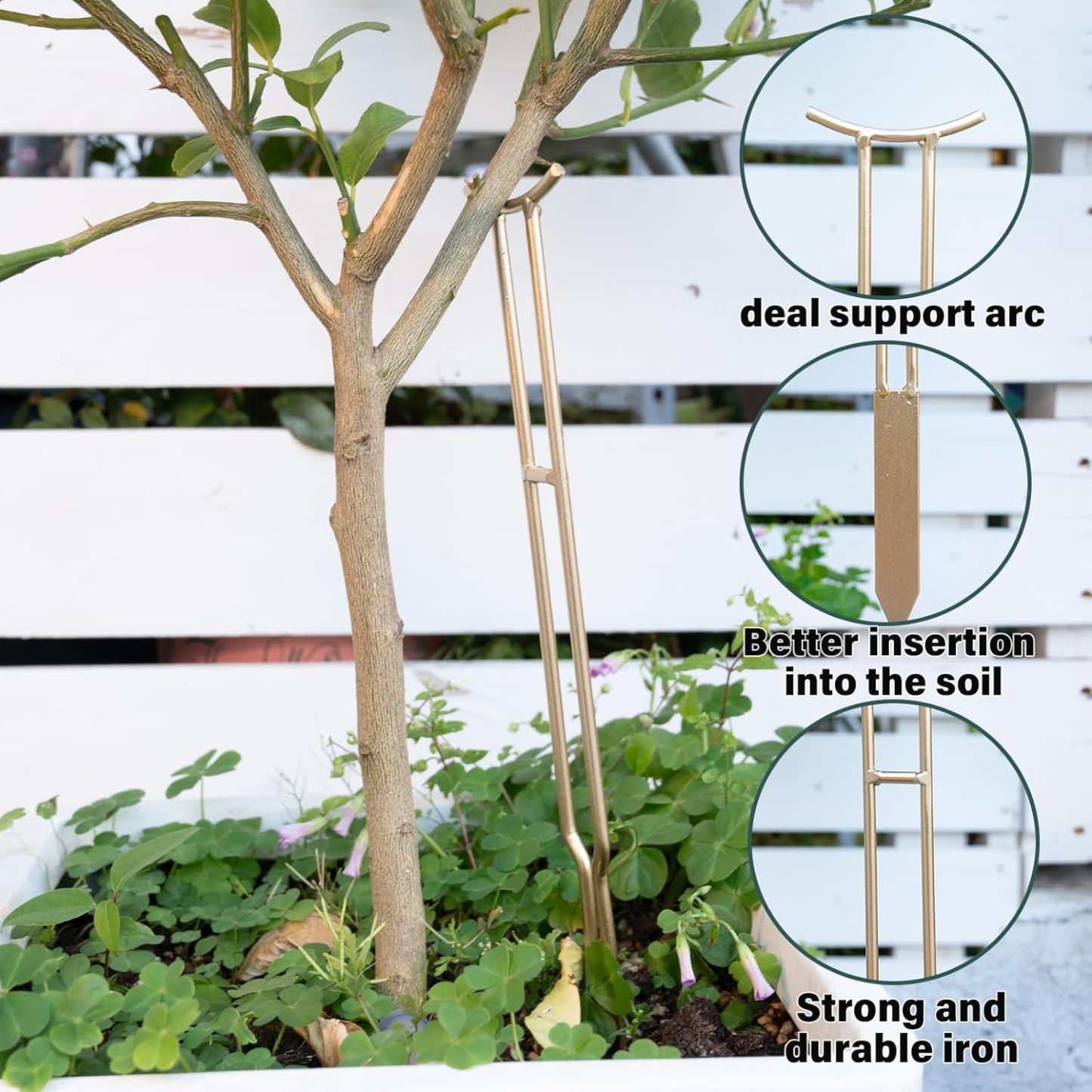 3-Pack Gold Plant Support Stakes for Monstera & Vines-MOUGIGI