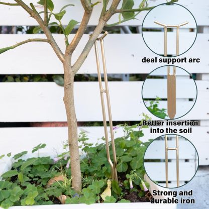 3-Pack Gold Plant Support Stakes for Monstera & Vines-MOUGIGI