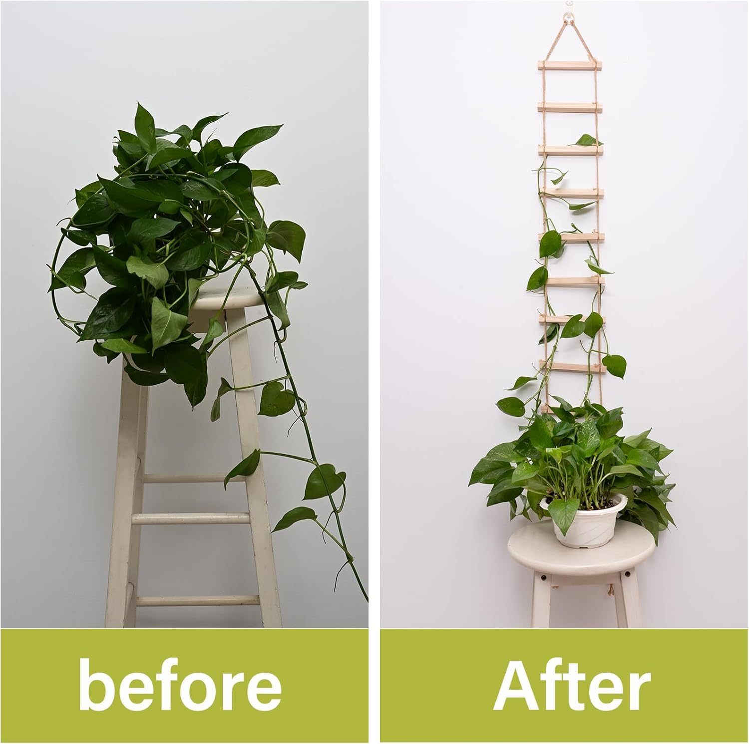 Natural Wood Ladder Trellis for Climbing Plants-MOUGIGI
